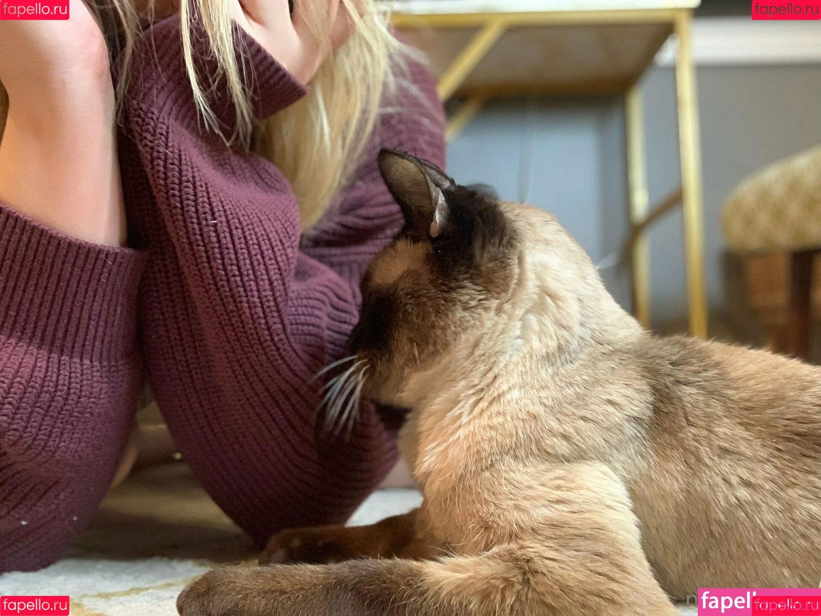 freebunbun Onlyfans Photo Gallery 