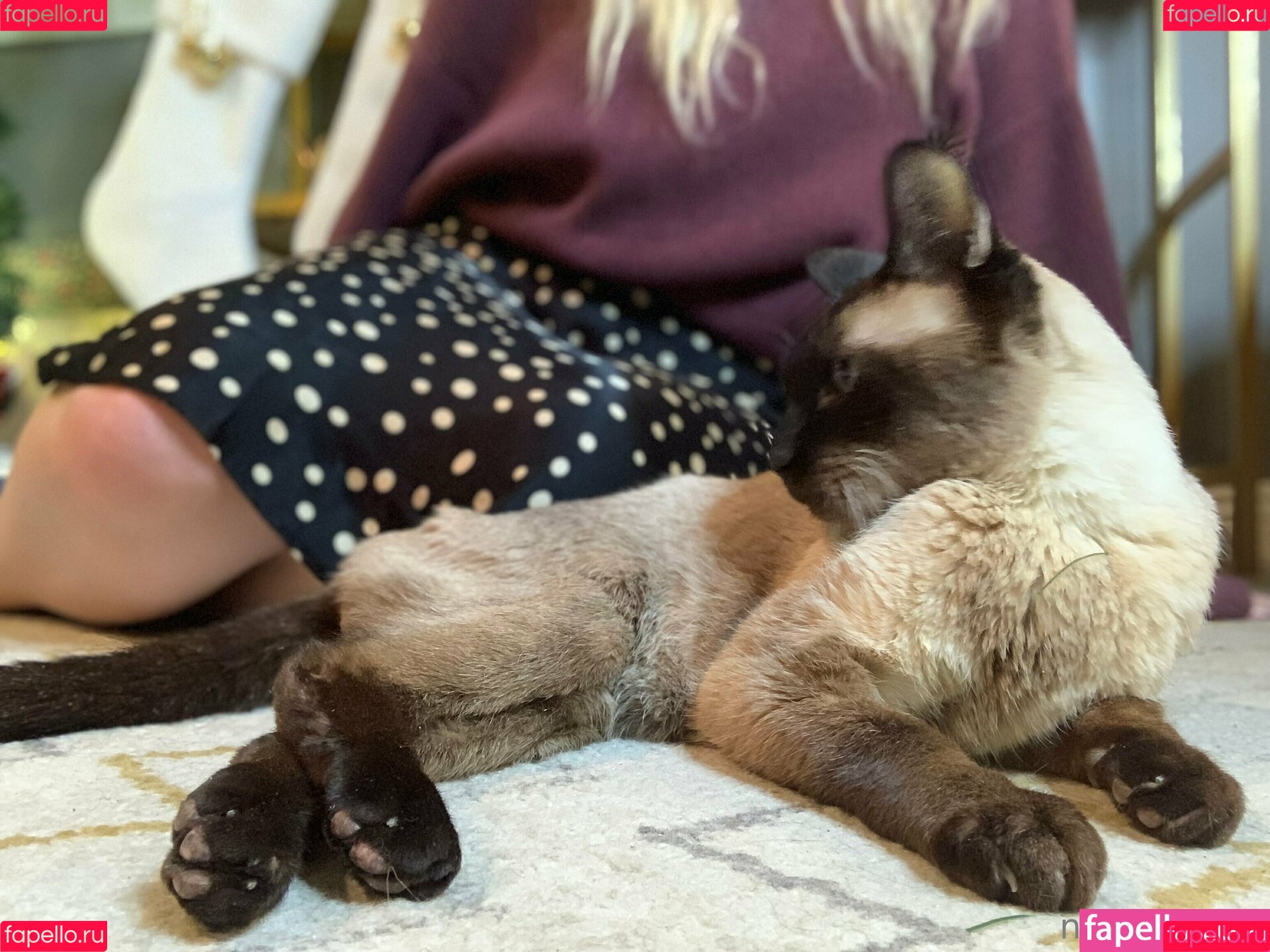 freebunbun Onlyfans Photo Gallery 