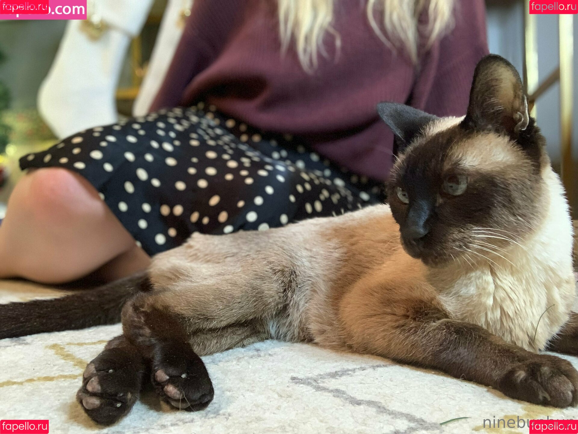 freebunbun Onlyfans Photo Gallery 