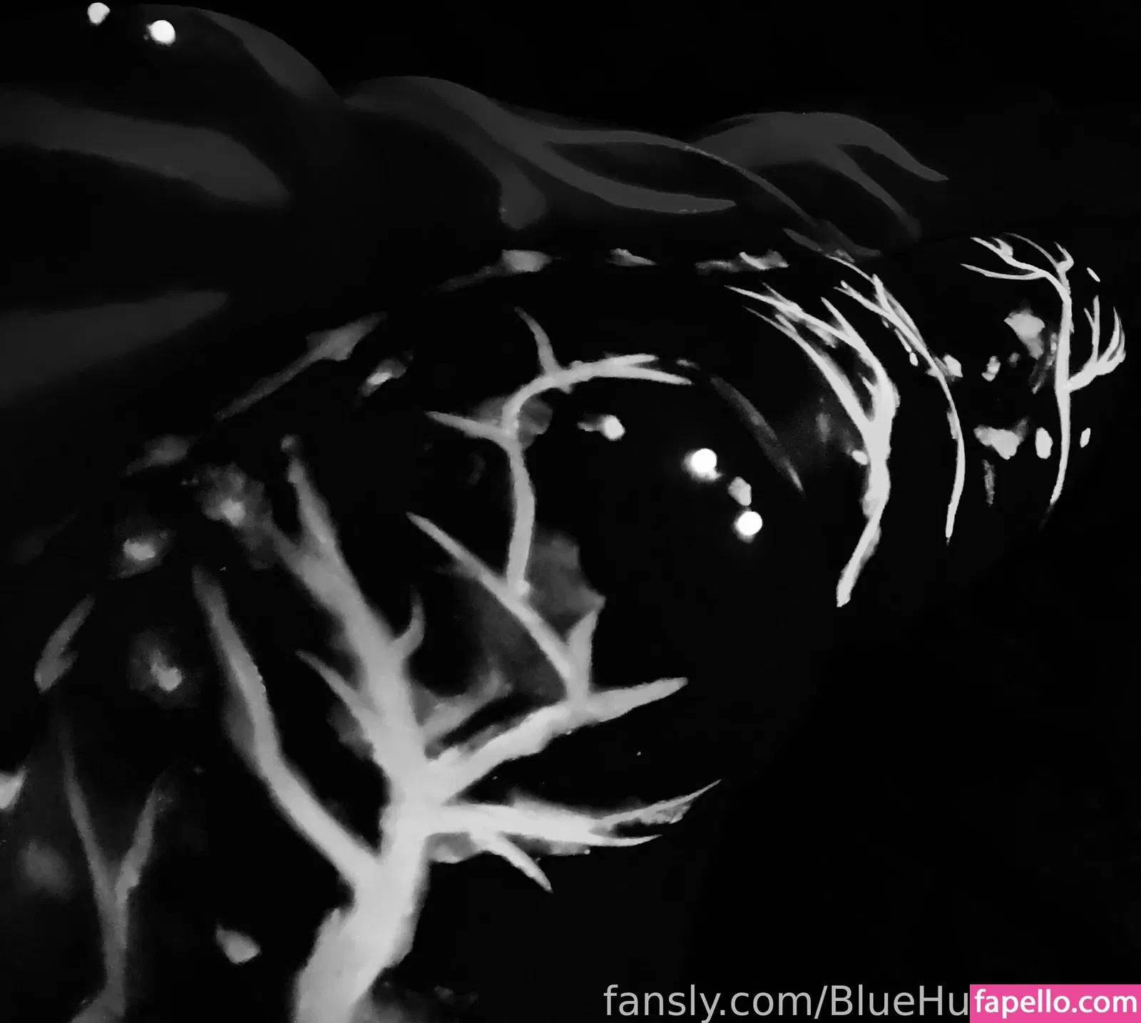 BlueHuneyDew Onlyfans Photo Gallery 