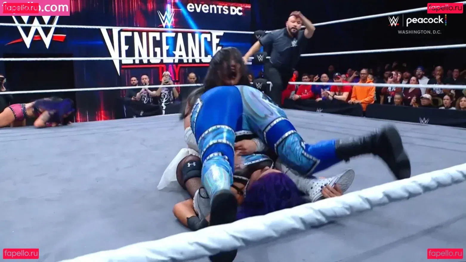 Bayley Onlyfans Photo Gallery 