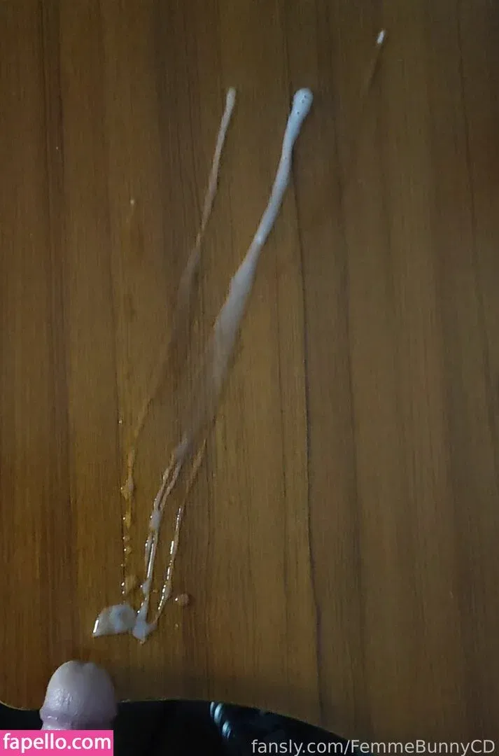 FemmeBunnyCD Onlyfans Photo Gallery 