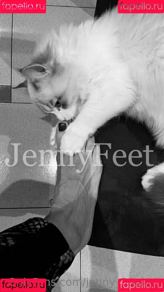 jenny_38piedi Onlyfans Photo Gallery 