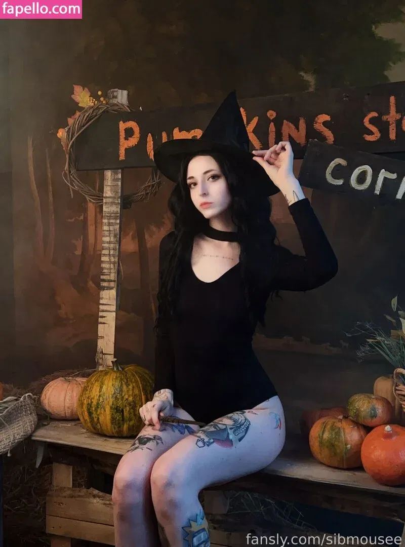 sibmouse Onlyfans Photo Gallery 