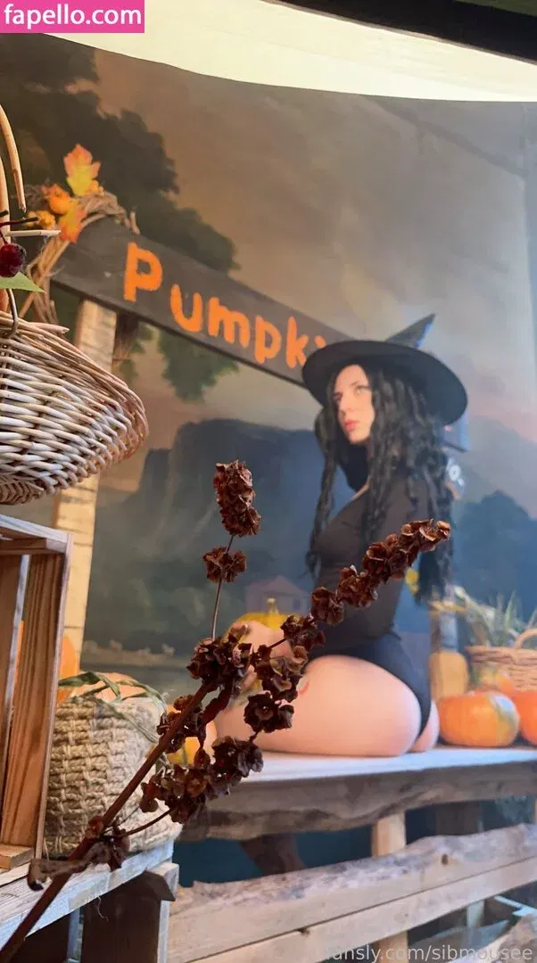 sibmouse Onlyfans Photo Gallery 