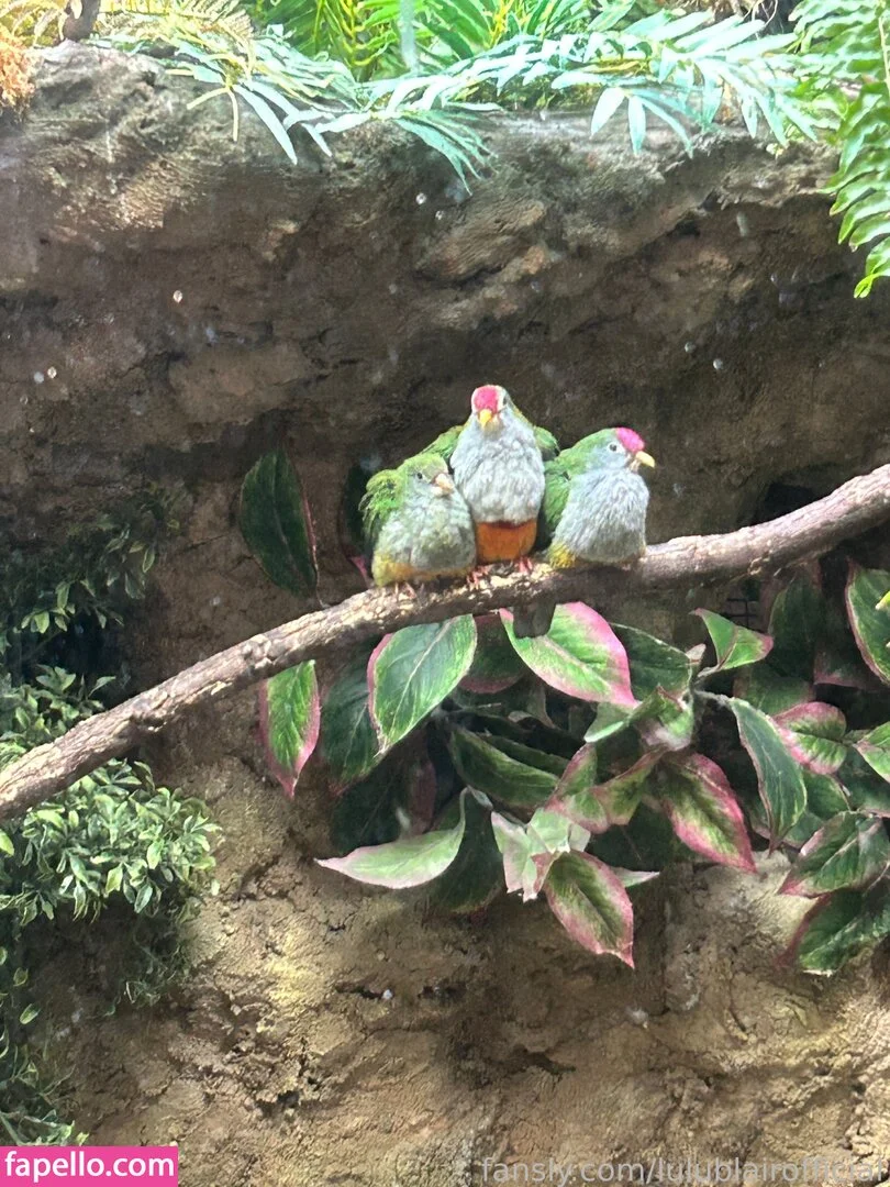 lulublairofficial Onlyfans Photo Gallery 