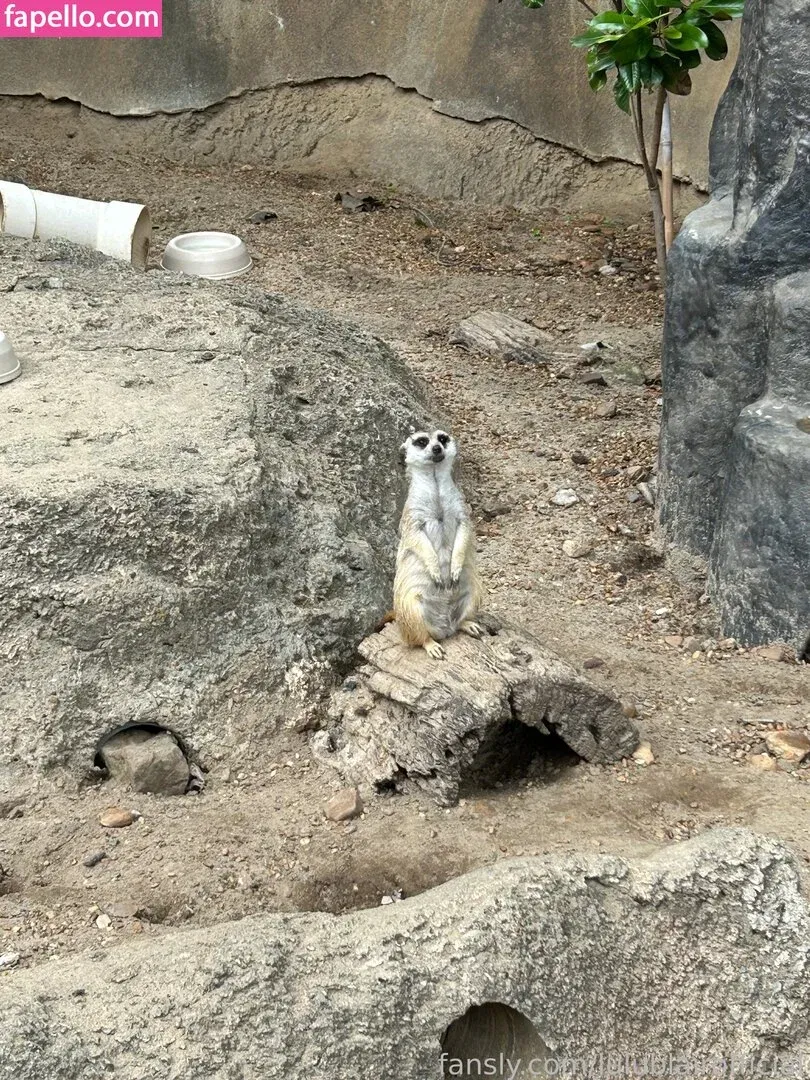 lulublairofficial Onlyfans Photo Gallery 