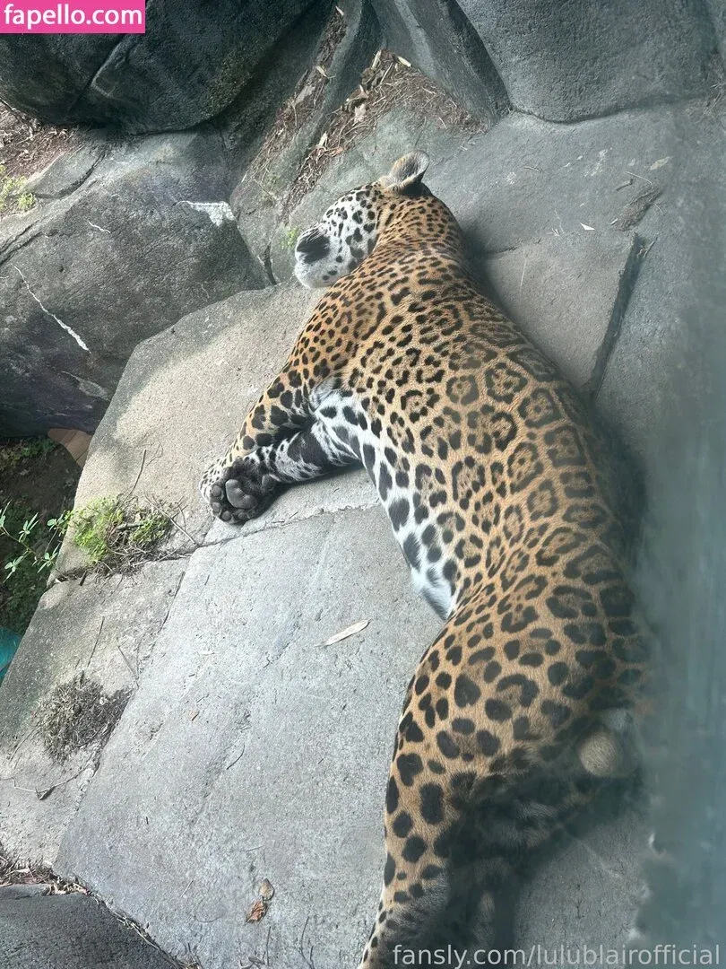 lulublairofficial Onlyfans Photo Gallery 