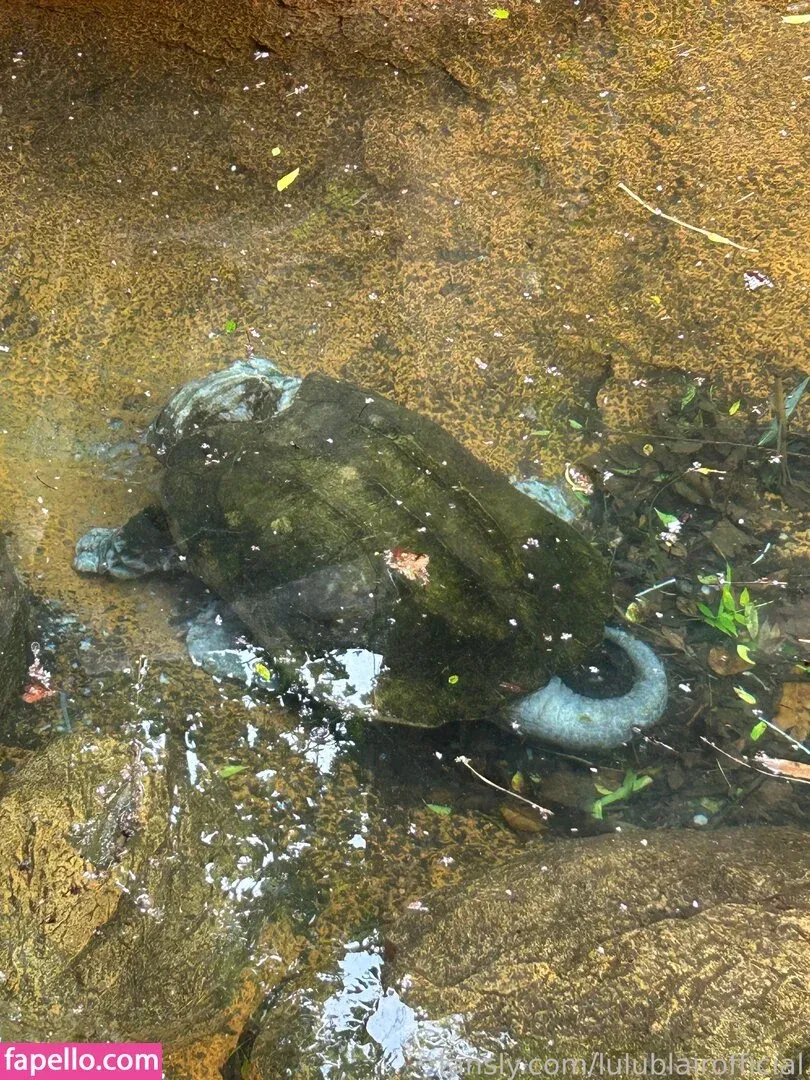 lulublairofficial Onlyfans Photo Gallery 