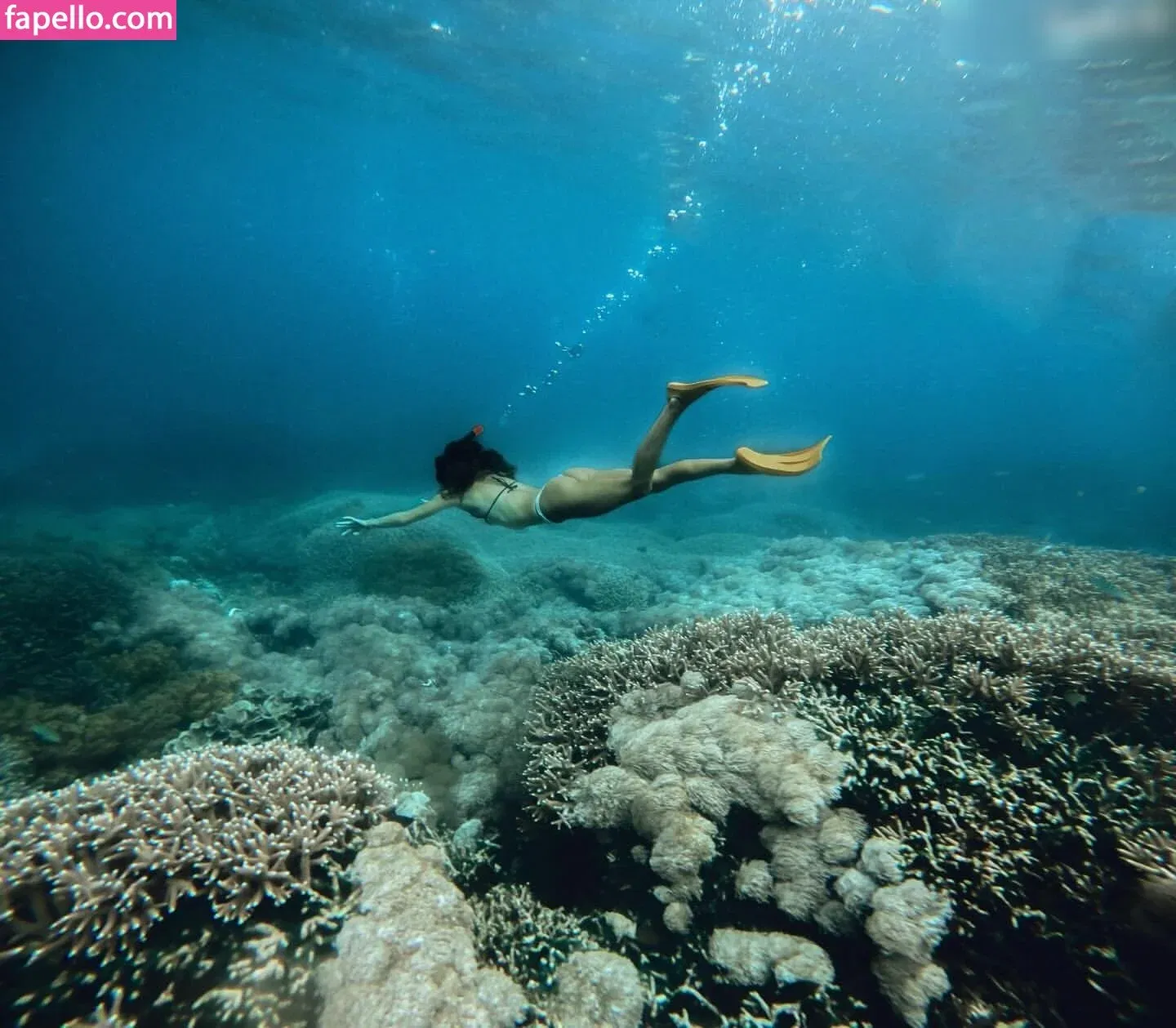 Rebecca Looschelders Onlyfans Photo Gallery 