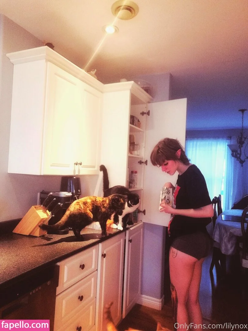 lilynox Onlyfans Photo Gallery 