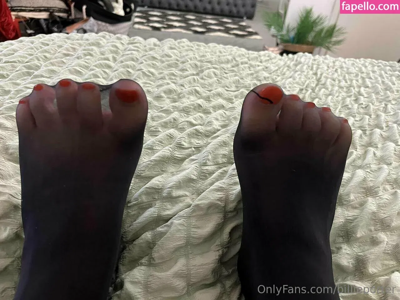 billieportervip Onlyfans Photo Gallery 