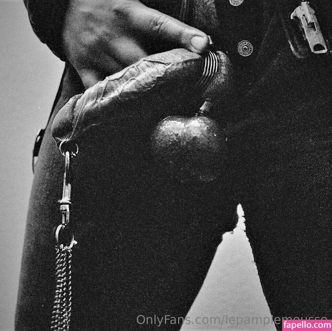 lepamplemousse Onlyfans Photo Gallery 