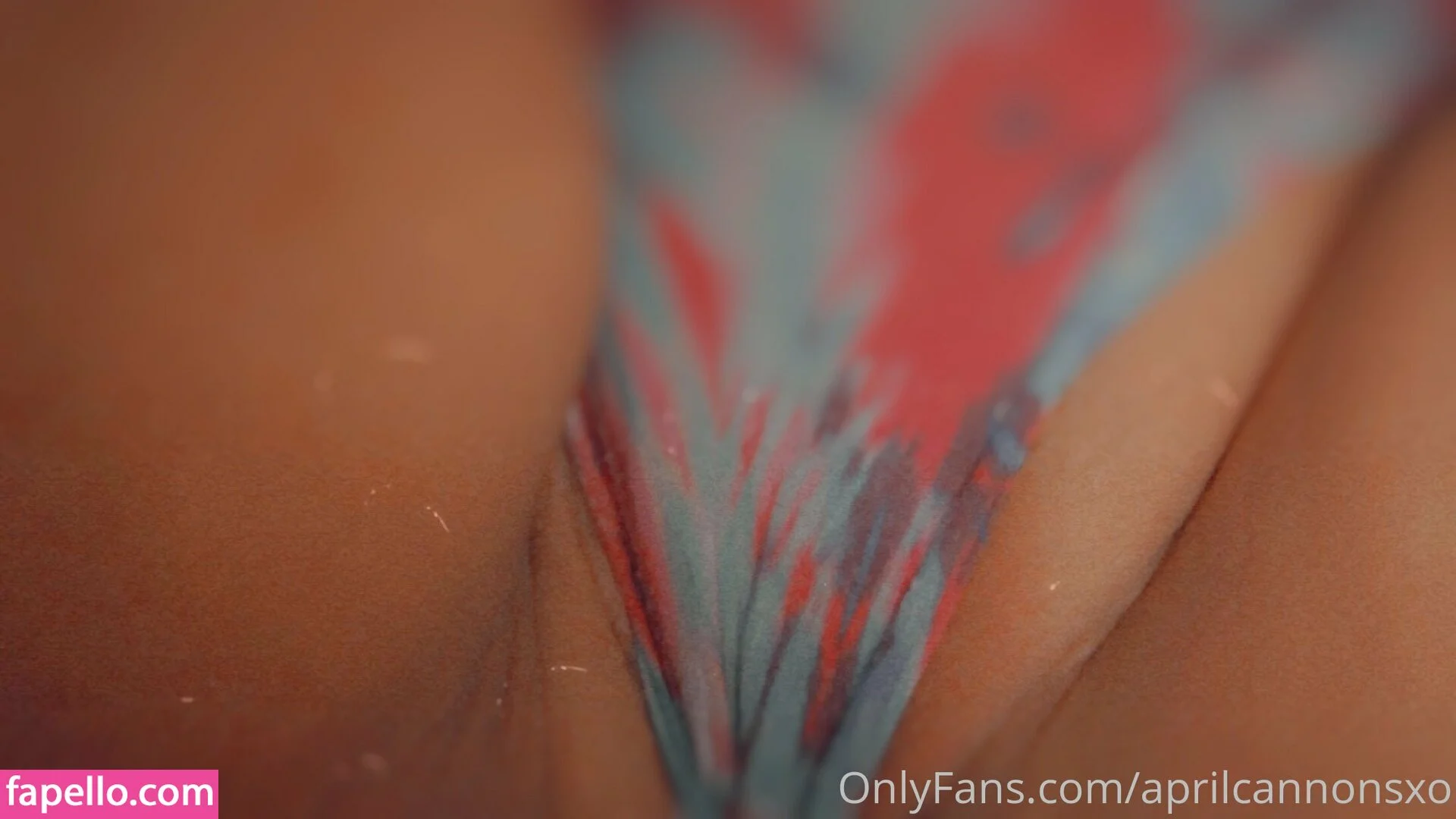 aprilcannonsxo Onlyfans Photo Gallery 