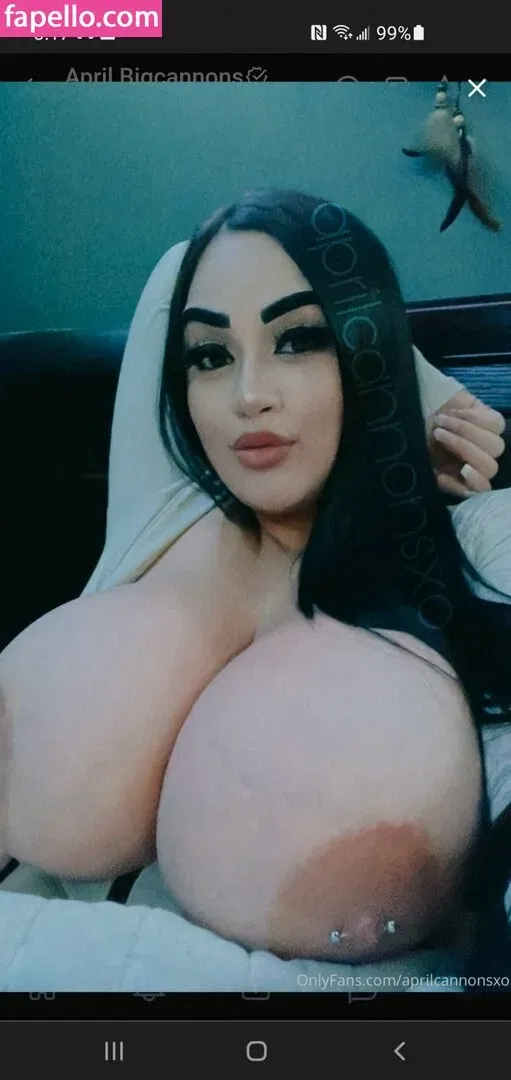 aprilcannonsxo Onlyfans Photo Gallery 