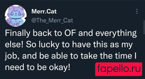 the.merr.cat Nude Onlyfans Photo 15
