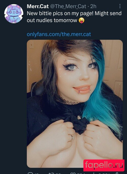 the.merr.cat Nude Onlyfans Photo 5