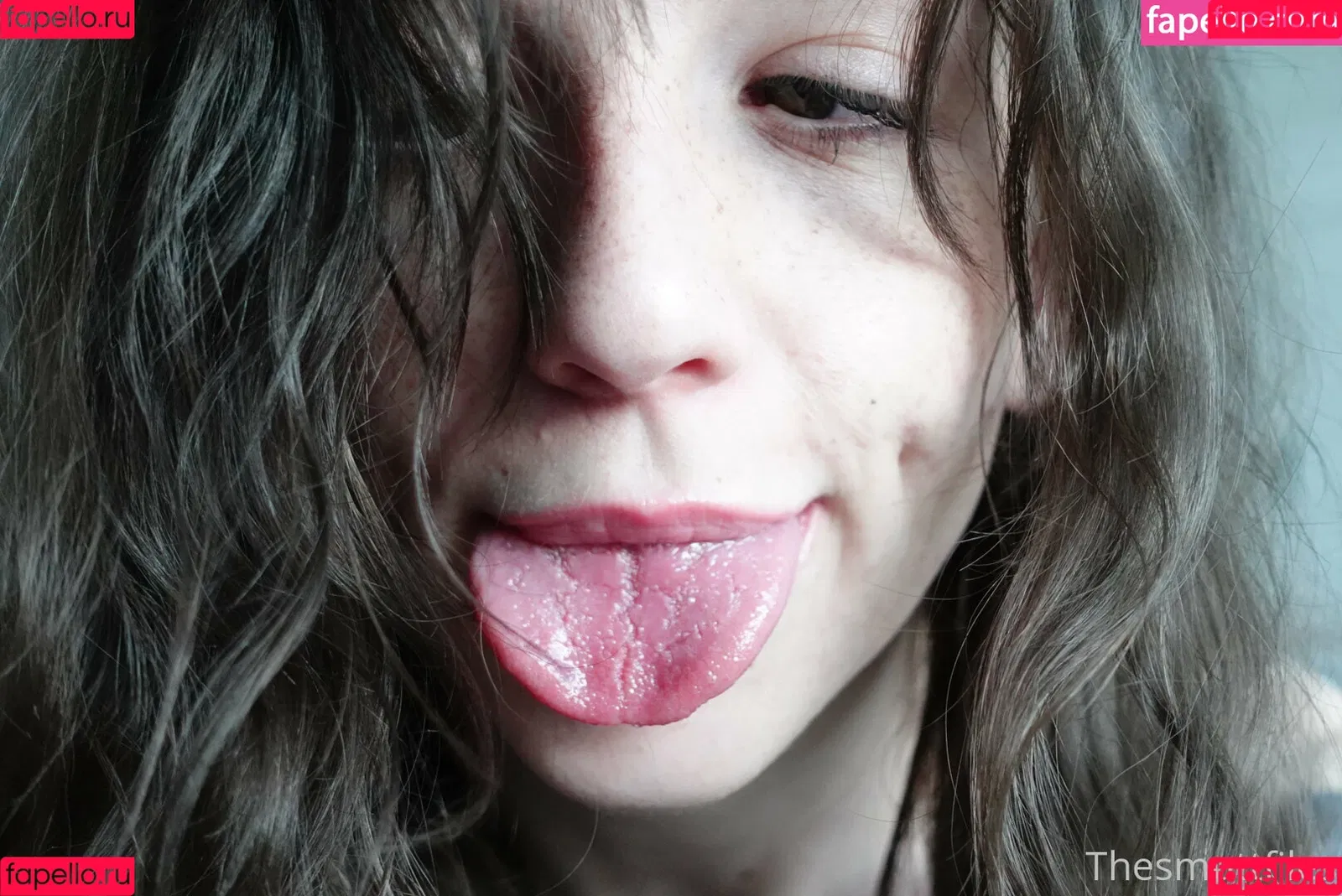 snoot Onlyfans Photo Gallery 