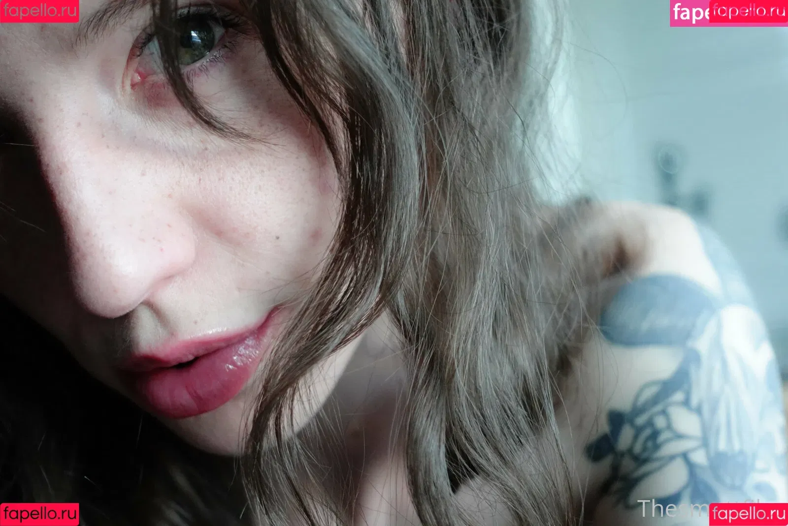 snoot Onlyfans Photo Gallery 