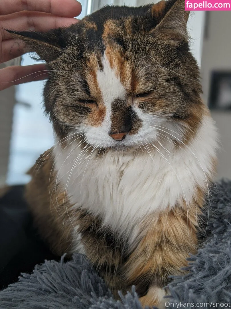 snoot Onlyfans Photo Gallery 