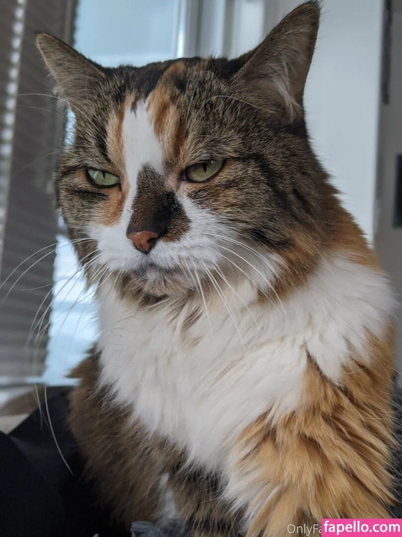 snoot Onlyfans Photo Gallery 