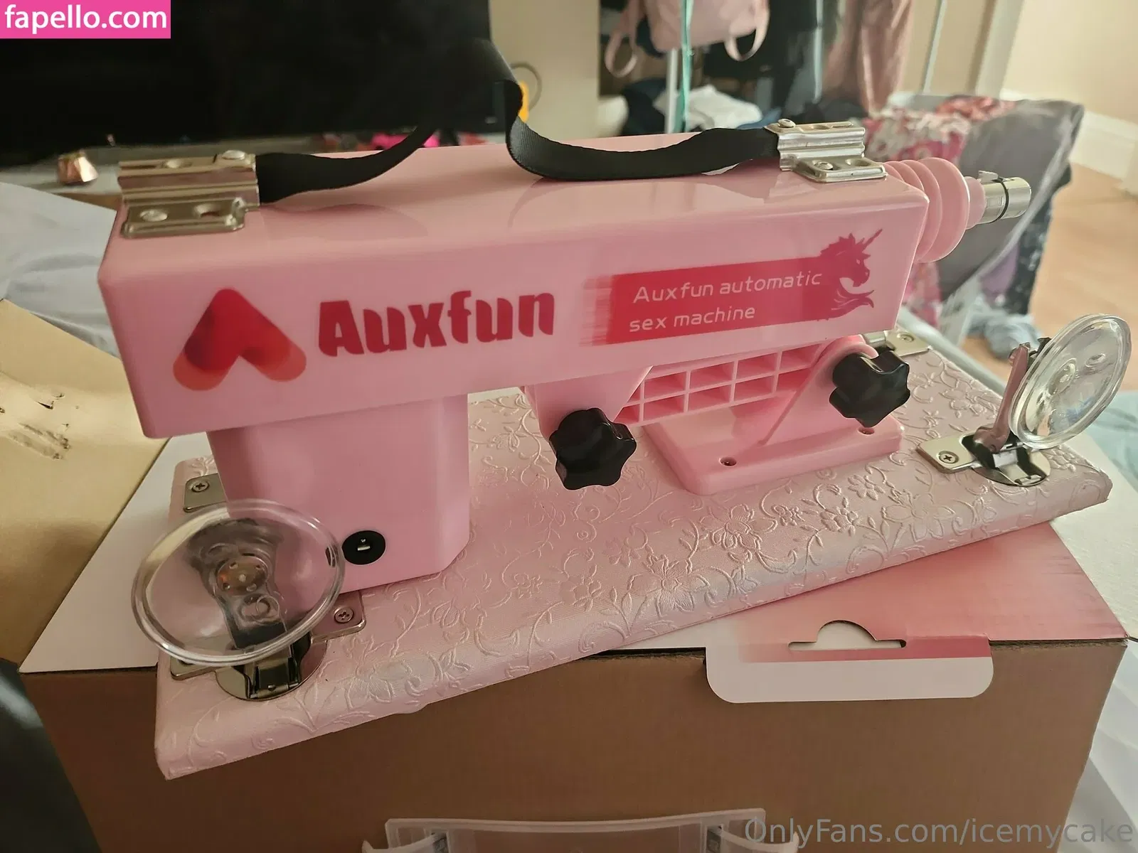 icemycake Onlyfans Photo Gallery 