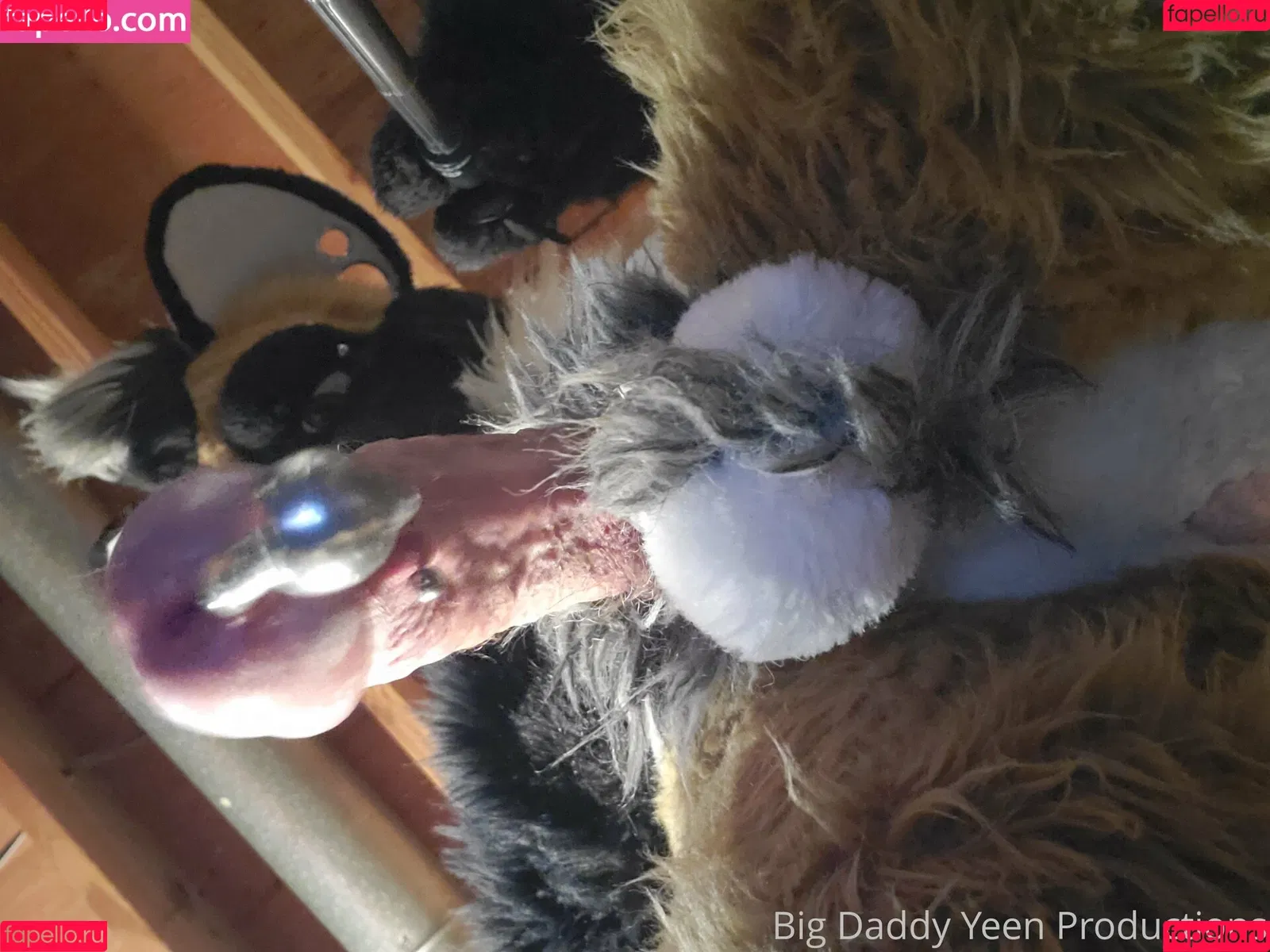 nastyyenaproductions Onlyfans Photo Gallery 