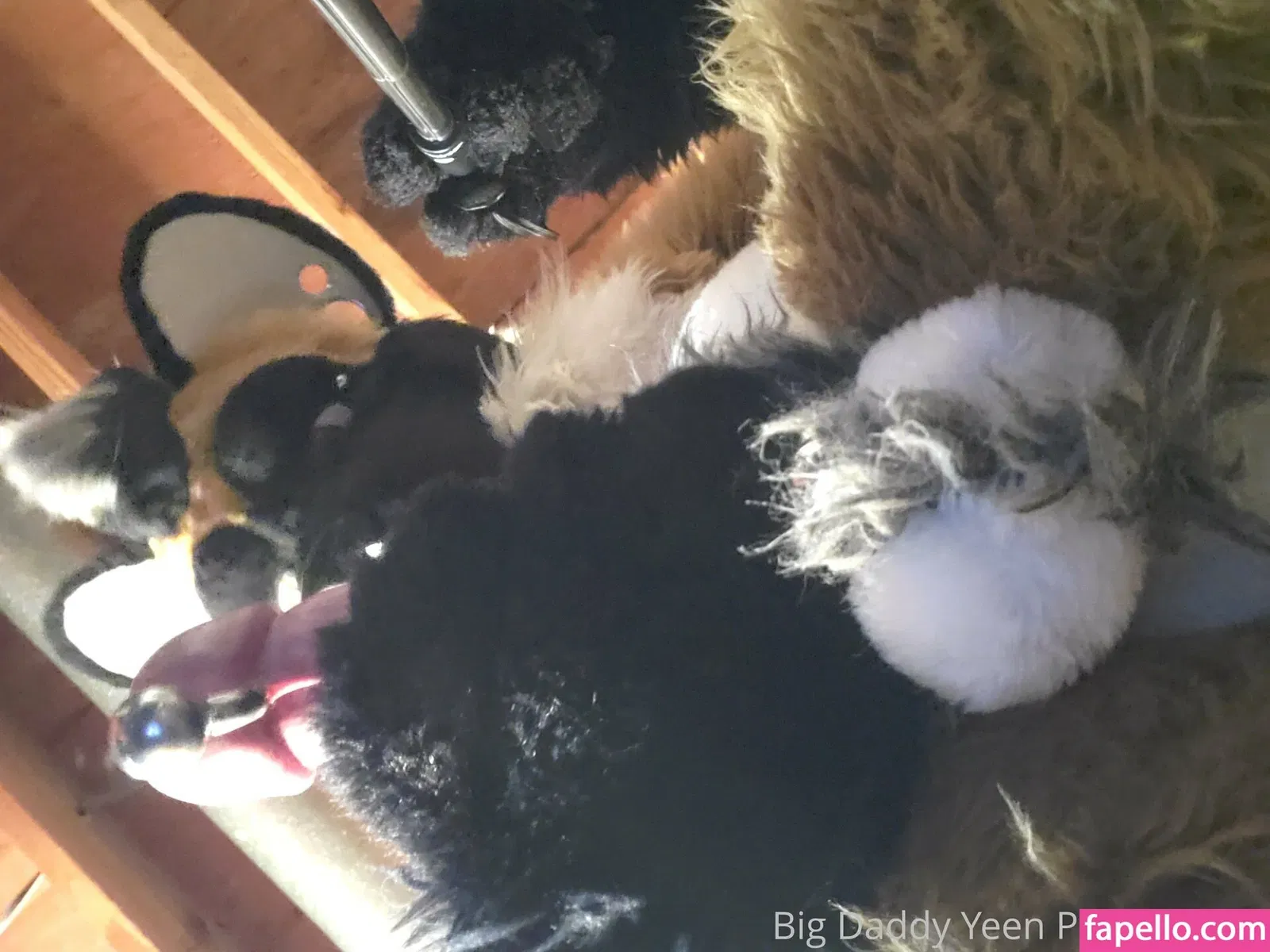 nastyyenaproductions Onlyfans Photo Gallery 