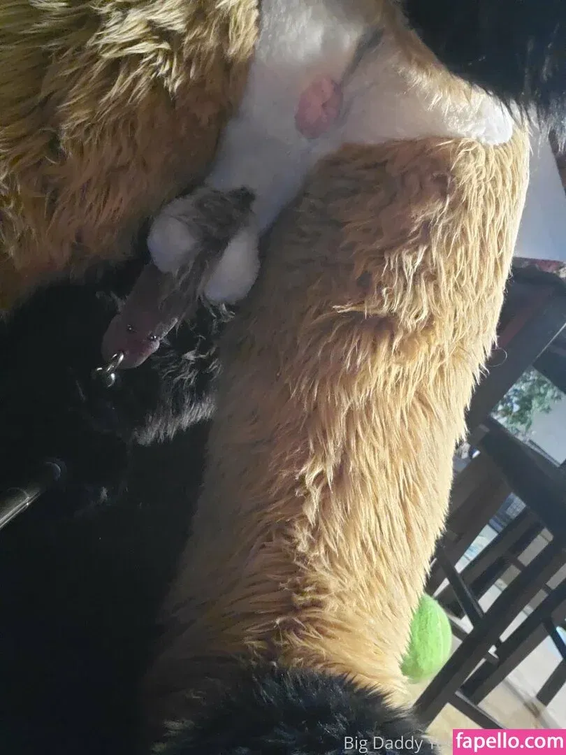 nastyyenaproductions Onlyfans Photo Gallery 