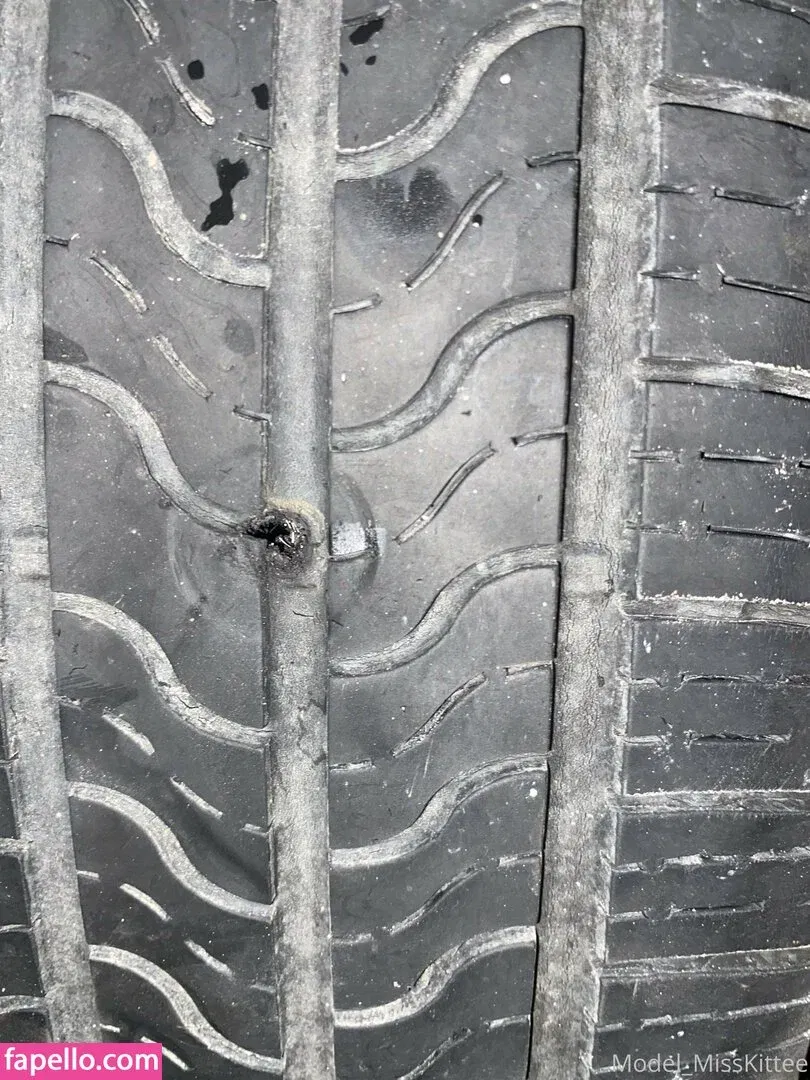 model_misskittee92 Onlyfans Photo Gallery 