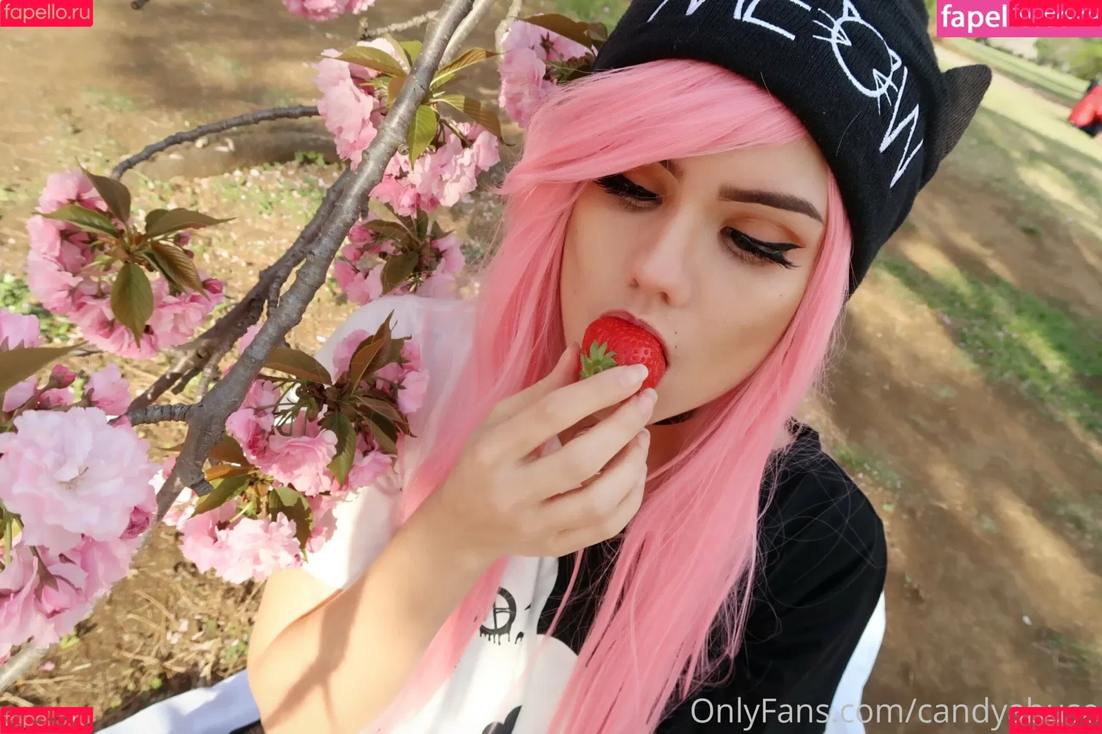 candyabuse Onlyfans Photo Gallery 