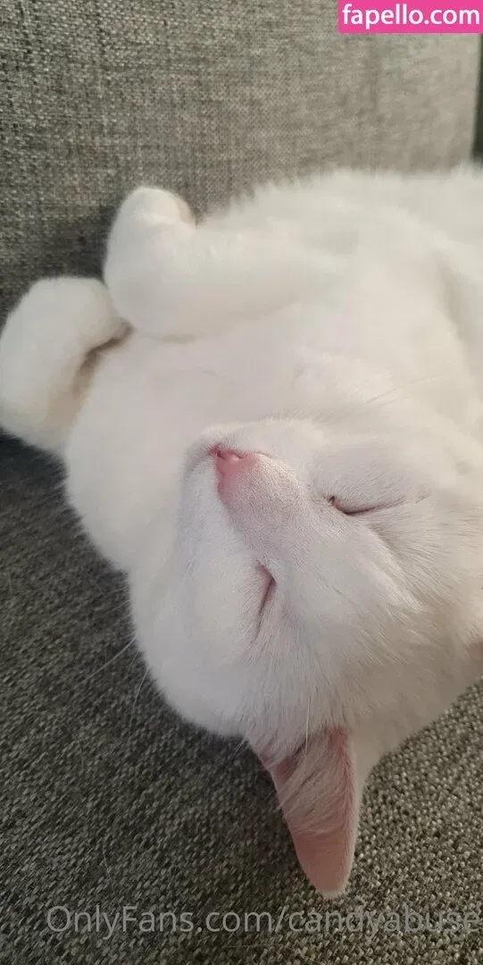 candyabuse Onlyfans Photo Gallery 