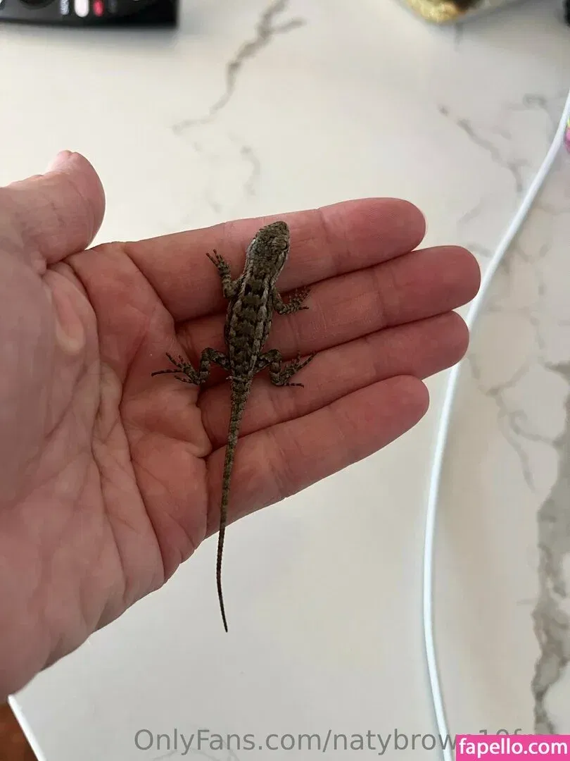 naty_brown10 Onlyfans Photo Gallery 