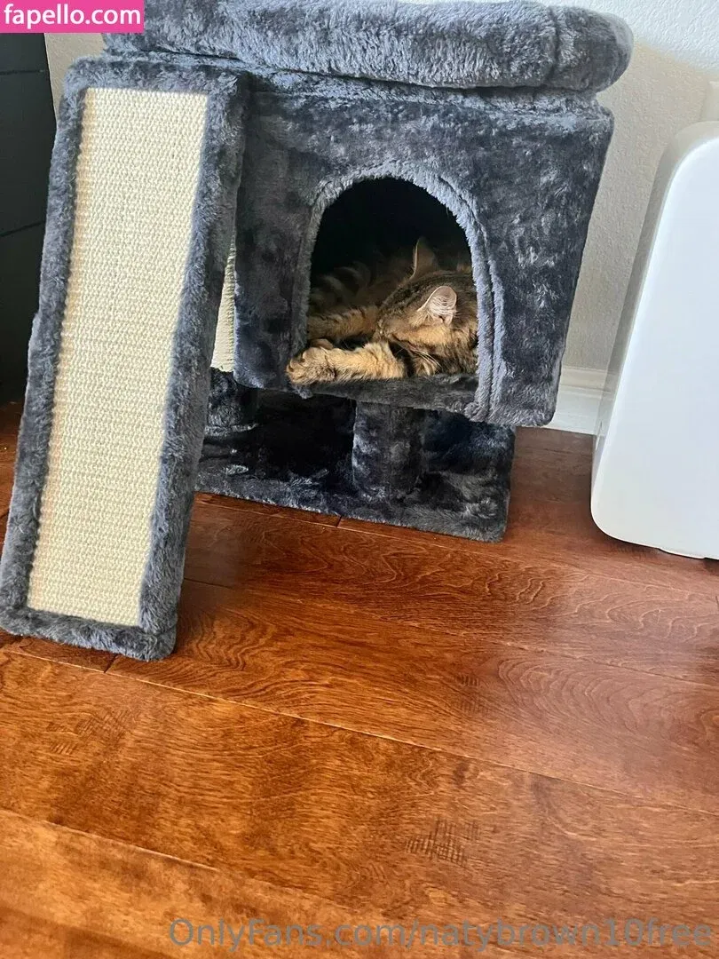 naty_brown10 Onlyfans Photo Gallery 