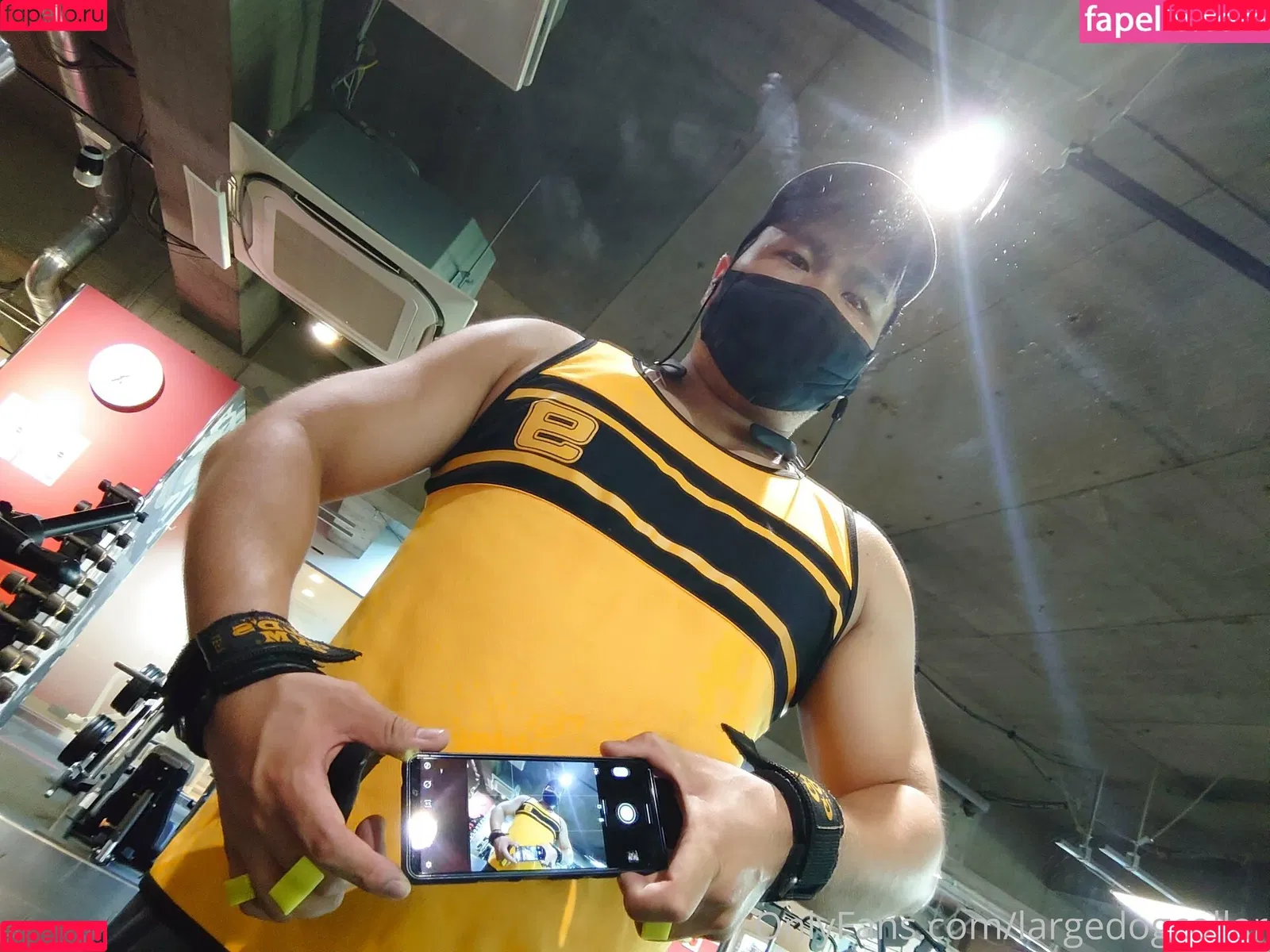 largedogcollar Onlyfans Photo Gallery 
