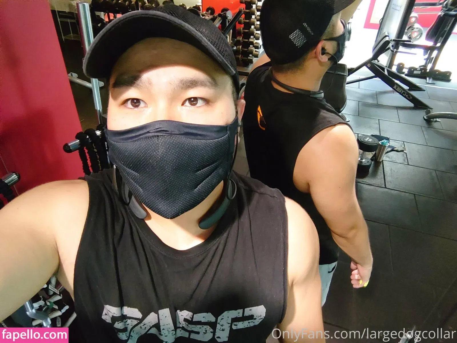 largedogcollar Onlyfans Photo Gallery 