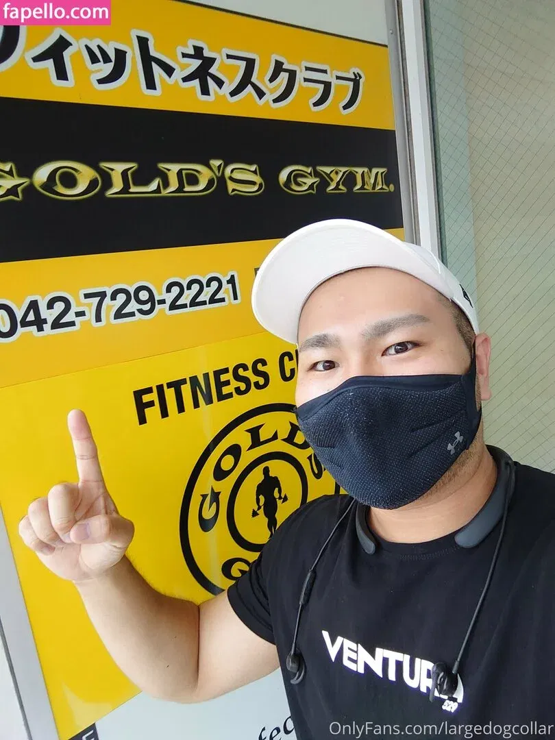 largedogcollar Onlyfans Photo Gallery 