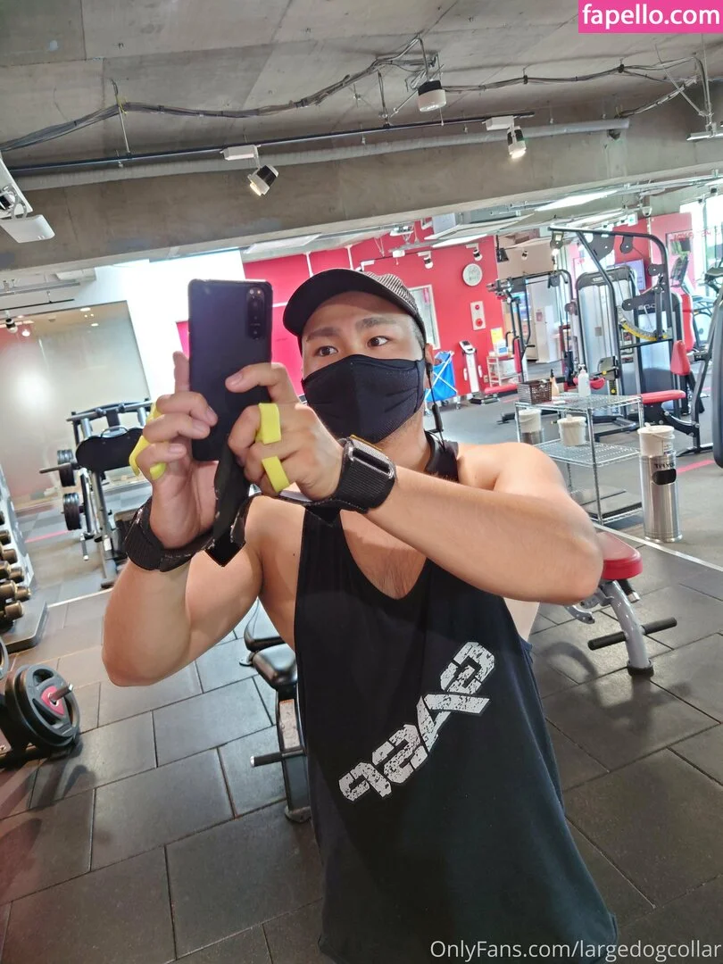 largedogcollar Onlyfans Photo Gallery 