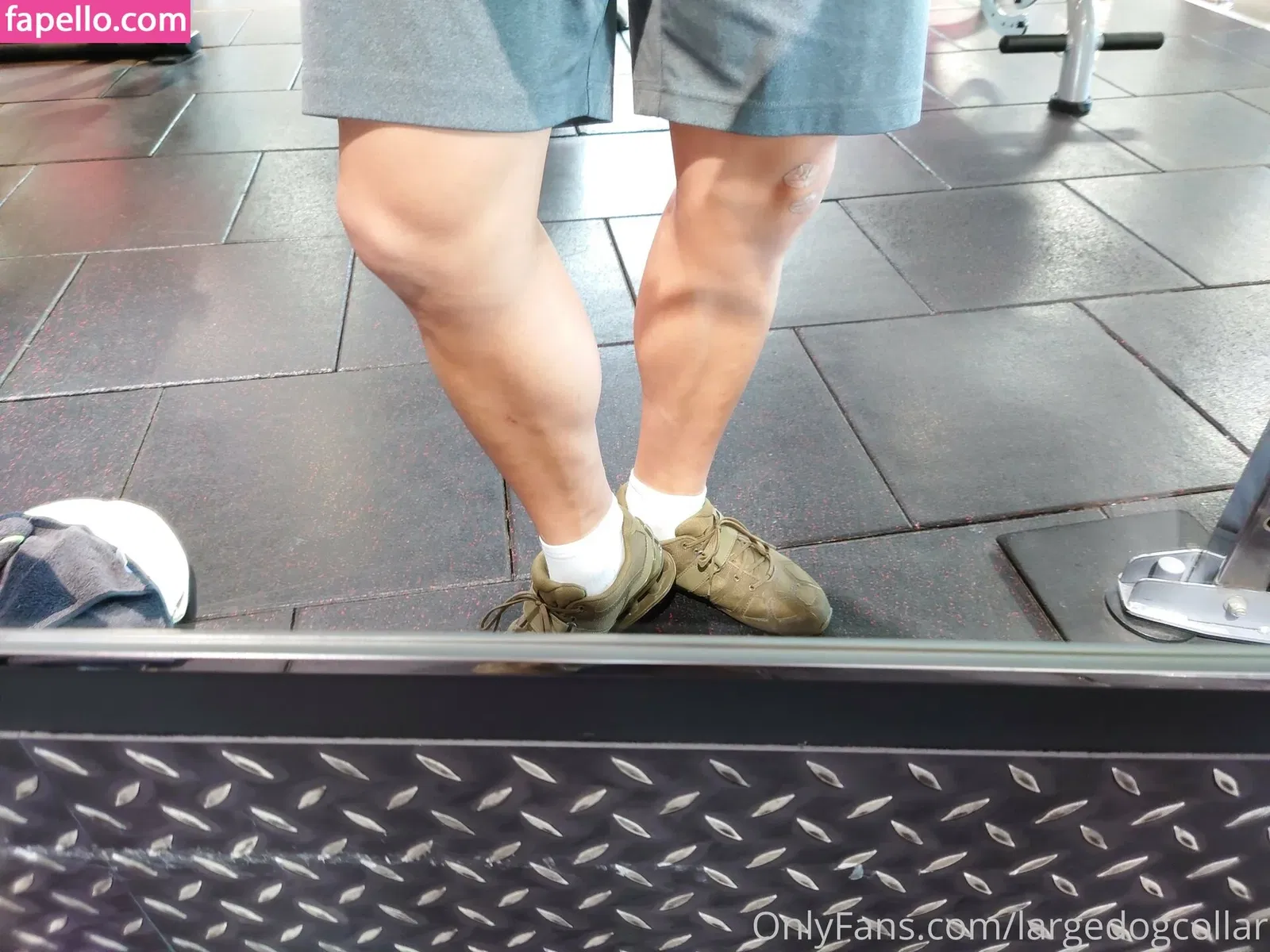 largedogcollar Onlyfans Photo Gallery 