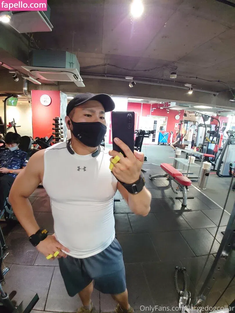 largedogcollar Onlyfans Photo Gallery 