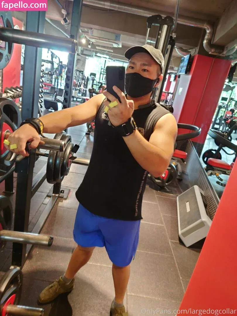 largedogcollar Onlyfans Photo Gallery 