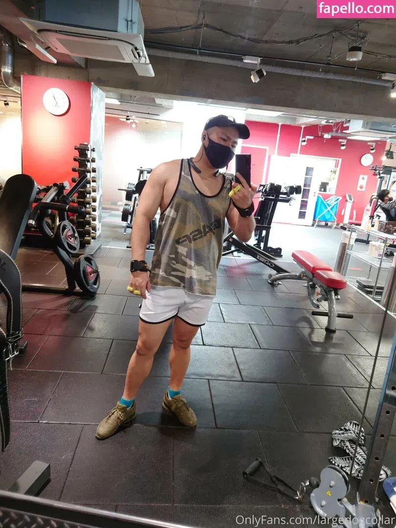 largedogcollar Onlyfans Photo Gallery 