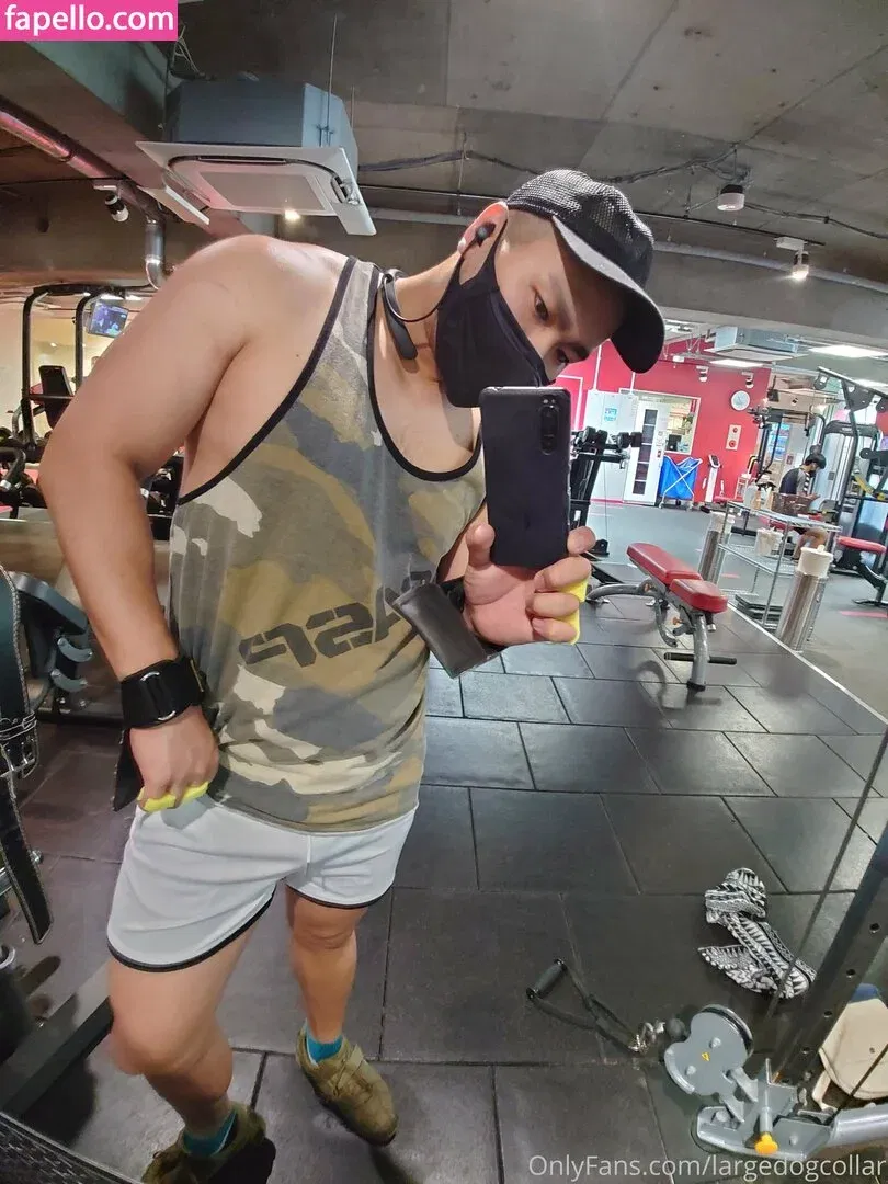 largedogcollar Onlyfans Photo Gallery 