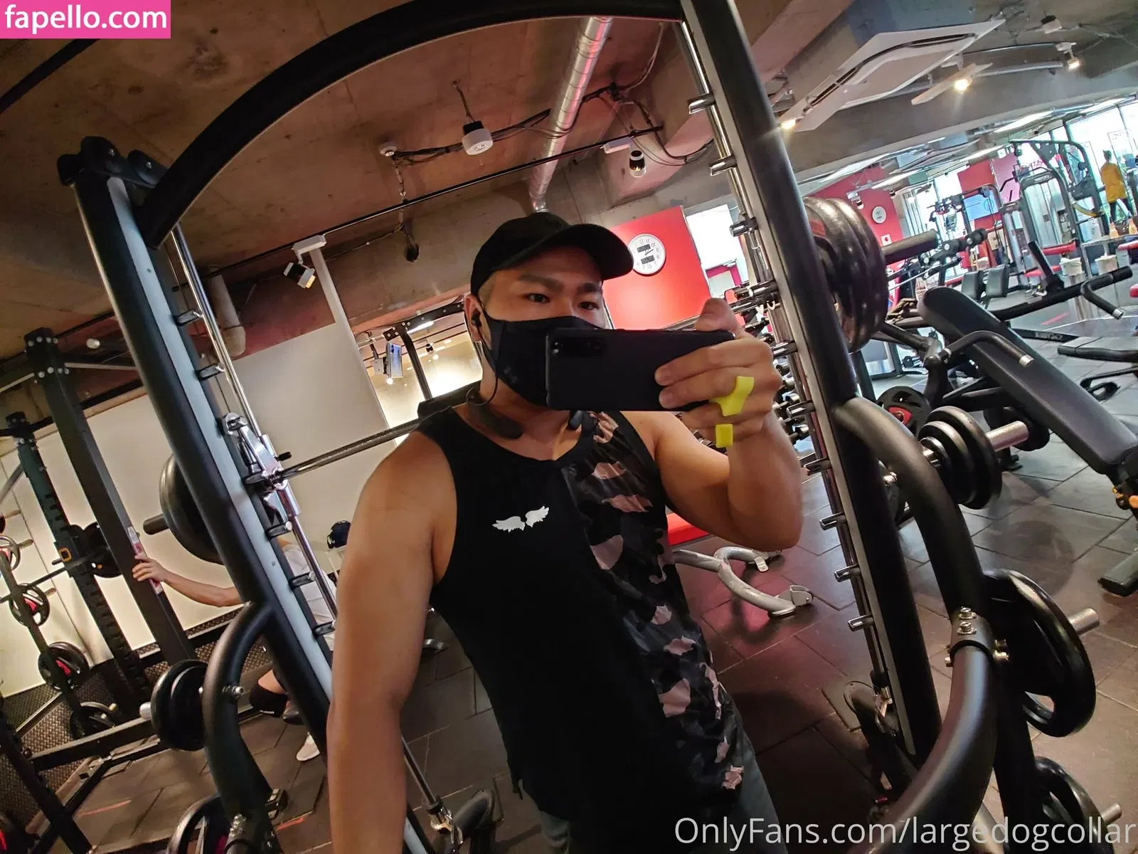 largedogcollar Onlyfans Photo Gallery 