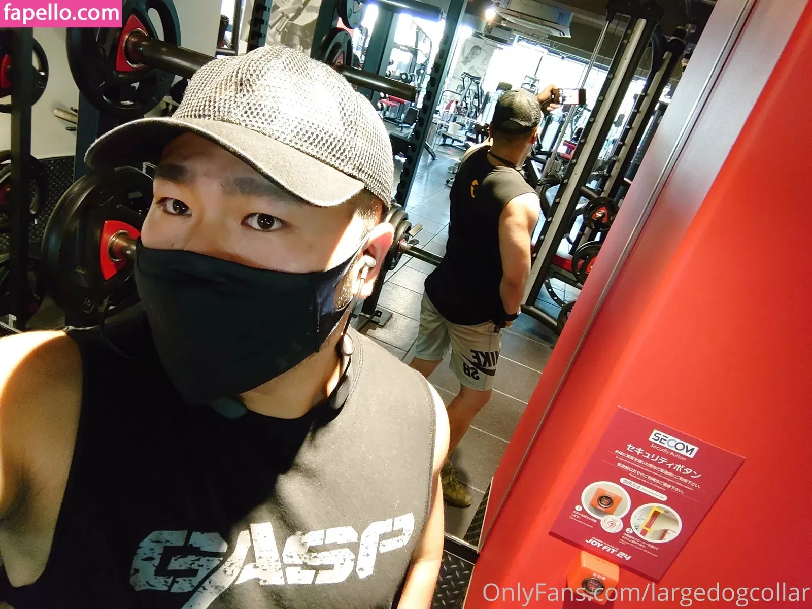 largedogcollar Onlyfans Photo Gallery 