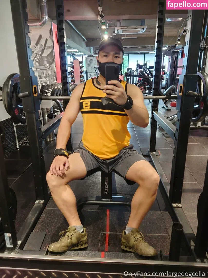 largedogcollar Onlyfans Photo Gallery 