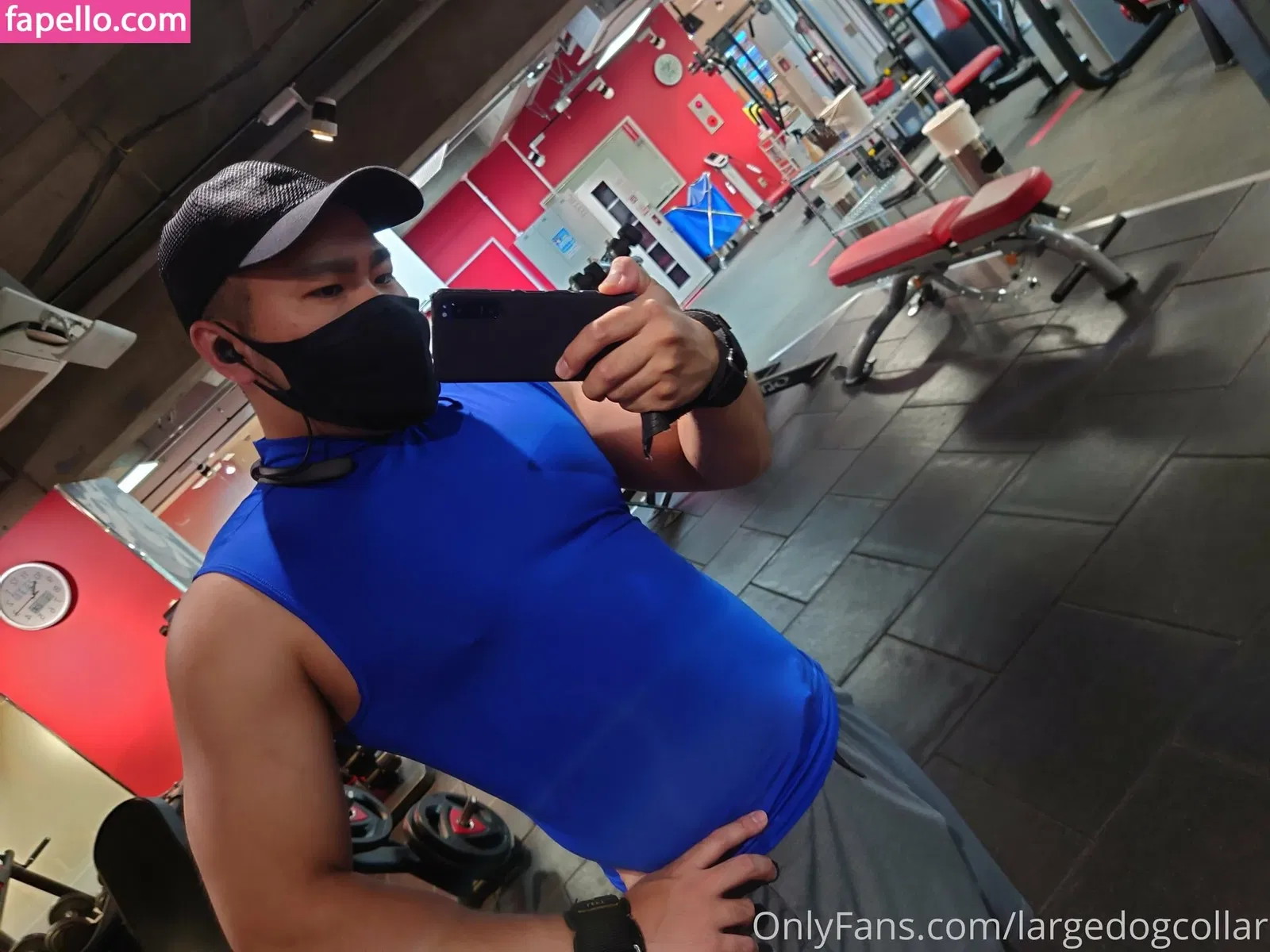 largedogcollar Onlyfans Photo Gallery 