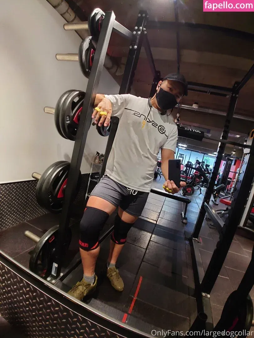 largedogcollar Onlyfans Photo Gallery 