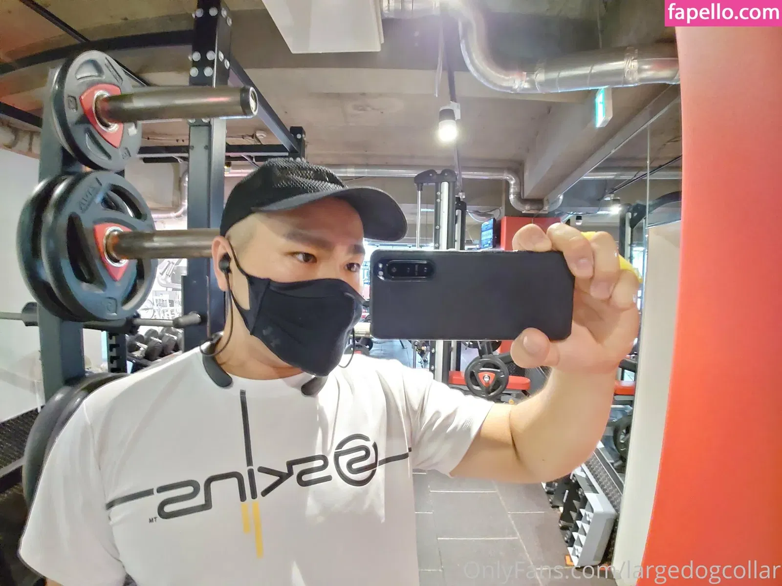 largedogcollar Onlyfans Photo Gallery 