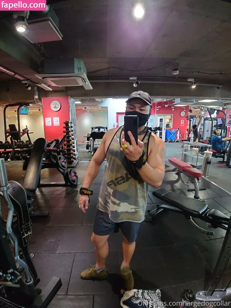 largedogcollar Onlyfans Photo Gallery 